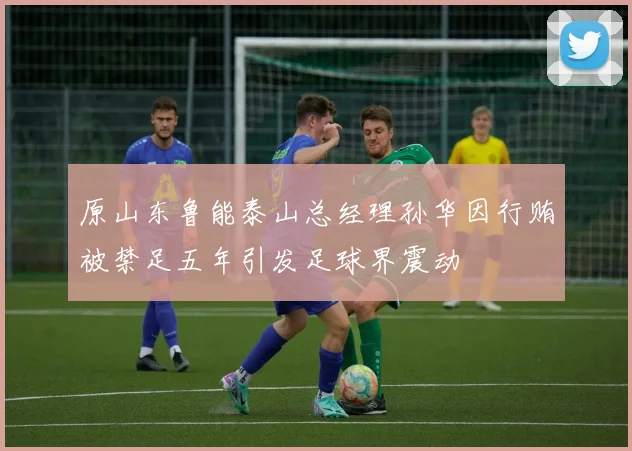 原山东鲁能泰山总经理孙华因行贿被禁足五年引发足球界震动